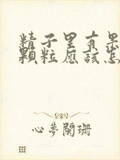 精子里有果冻状颗粒应该怎么办