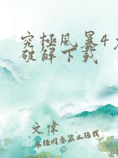 究极风暴4免费破解下载