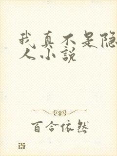我真不是隐世高人小说