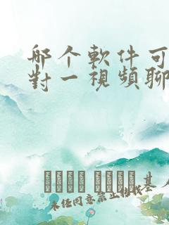 哪个软件可以一对一视频聊天