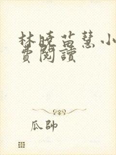 林晓苗慧小说免费阅读