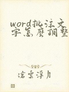 word批注文字怎么调整大小