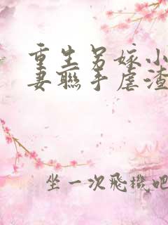 重生另嫁小叔夫妻联手虐渣免费完整版