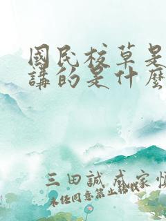 国民校草是女生讲的是什么