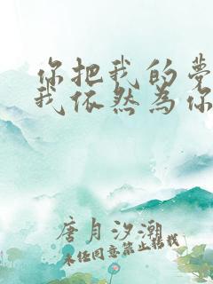 你把我的梦带走我依然为你停留是什么歌