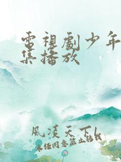 电视剧少年派全集播放