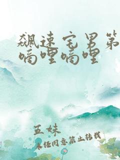 飙速宅男第一季嘀哩嘀哩