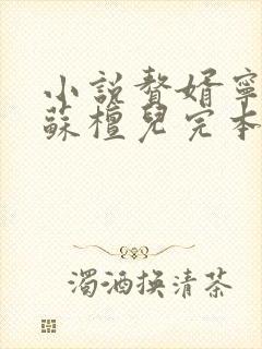 小说赘婿宁毅/苏檀儿完本