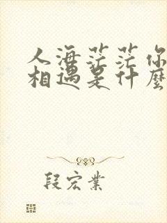 人海茫茫你和我相遇是什么歌名