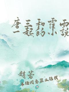 唐三和霍雨浩在一起的小说