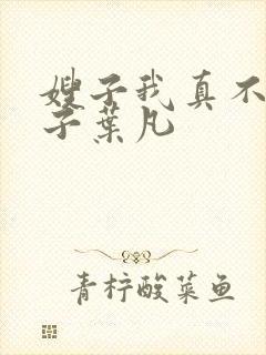 嫂子我真不是傻子叶凡