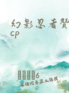 幻影忍者赞受向cp