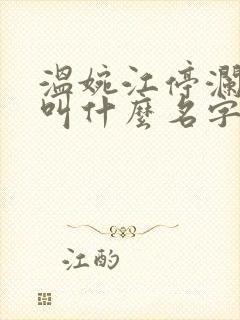 温婉江停澜小说叫什么名字