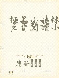 极品小姨林浩云免费阅读小说全文最新章节