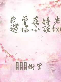 我曾在时光里听过你小说txt