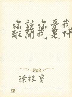 你说你爱我却又离开我是什么歌