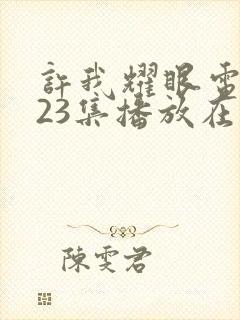 许我耀眼电视剧23集播放在线观看