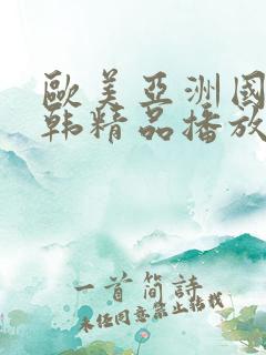 欧美亚洲国产日韩精品播放