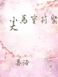 小马宝莉紫悦长大