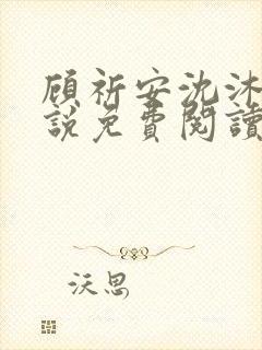 顾祈安沈沐婉小说免费阅读最新章节