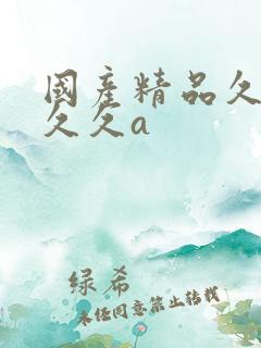 国产精品久久久久久a