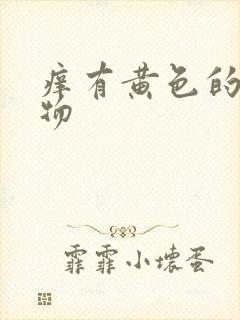 痒有黄色的分泌物