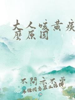 大人咳黄痰是什么原因