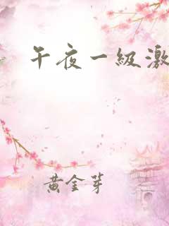 午夜一级激情片