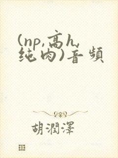 (np,高h,纯肉)音频