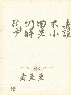 我们回不去的年少时光小说