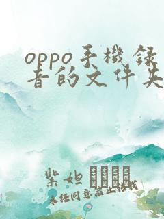 oppo手机录音的文件夹叫什么