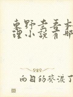 东野圭吾本格推理小说有哪些