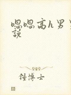 嗯嗯高h男男小说