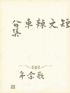 公车辣文短篇合集