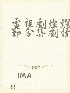 电视剧灿烂的季节分集剧情介绍