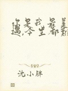 你是我最美的相遇,今生都难以忘记歌词