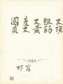 国产又粗又猛又爽又黄的视频在线