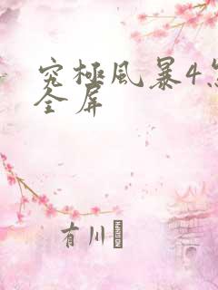 究极风暴4怎么全屏