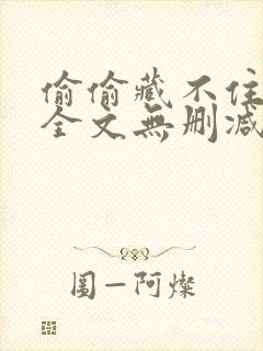 偷偷藏不住小说全文无删减免费阅读