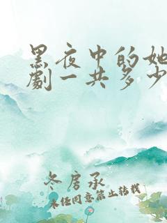 黑夜中的她电视剧一共多少集