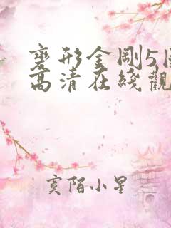 变形金刚5国语高清在线观看