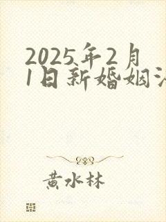 2025年2月1日新婚姻法财产分割