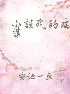 小说我的病弱老婆