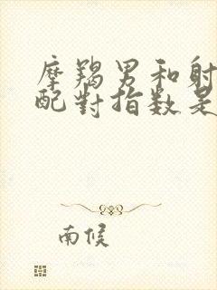 摩羯男和射手女配对指数是多少