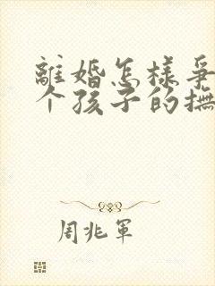 离婚怎样争夺两个孩子的抚养权