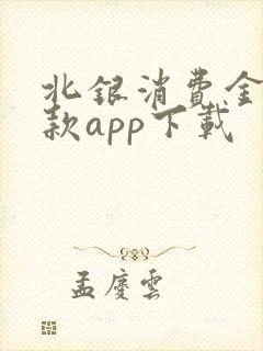 北银消费金融贷款app下载