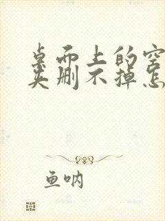 桌面上的空文件夹删不掉怎么办