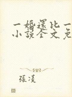 一婚还比一婚高小说全文免费