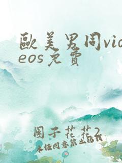 欧美男同videos免费