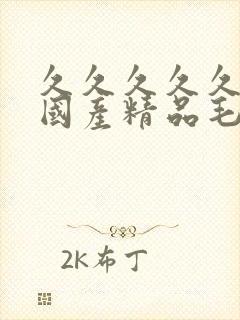 久久久久久久久国产精品毛片